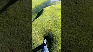 Walking on Spongy Grass Waterlogged Ground Reaction [upl. by Diego899]