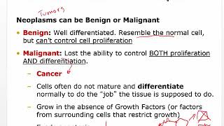 Pathophysiology of Cancer [upl. by Mears912]