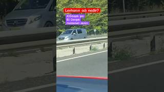 Cevaplar yoruma🤗 Trafik işaretleri Ehliyet sınavı ehliyetebruhoca ehliyetsınavı direksiyondersi [upl. by Ednalrym572]