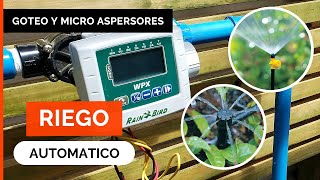 CÓMO INSTALAR RIEGO AUTOMÁTICO 💧🌱 paso a paso Sistema por Goteo y Micro Aspersores  Rain Bird [upl. by Ayimat]