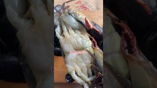 Simple Soft Shell Crab Explanation 📝🤯 shorts [upl. by Arman]