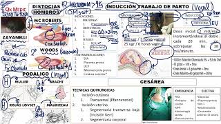 7 RM19 2V DÍA 1 OBSTETRICIA INTRODUCCION TRABAJO DE PARTO [upl. by Marashio]