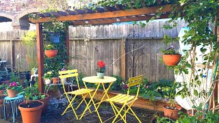 Garden Refresh  Tips to Stretch Your Garden Budget  4 Perennials Youll Enjoy [upl. by Wehttam]