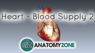 Blood supply to the heart  PART 2  Anatomy Tutorial [upl. by Marcy]