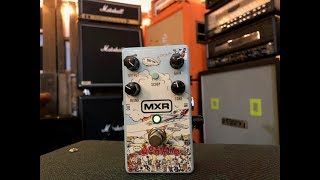 MXR Dookie Drive DD25 DEMO I Shred Shed [upl. by Esiom308]