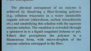 Lecture  17 Immobilization of Enzymes by Entrapment [upl. by Ened]