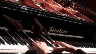 Schubert Liszt Des Mädchens Klage quotThe Maidens Lament quot Valentina Lisitsa [upl. by Acissey99]