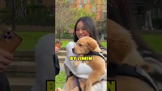 This DOG loves BTS V FAVOURITE KPOP MEME shorts [upl. by Chrissy899]