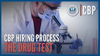 The Drug Test Updated Aug 2023  Hiring Process Deep Dive  CBP [upl. by Obau]