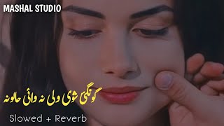 Spena Spogmai Waya Ashna Ba charta Wey Na Ghongai Shwey Wale Na waye Haloona slowedreverb pashto [upl. by Viddah]