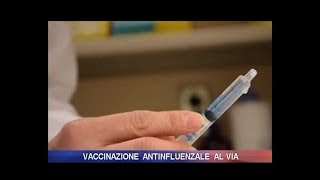 Vaccinazione antinfluenzale al via [upl. by Winona]