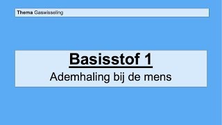 VMBO 4  Gaswisseling  Basisstof 1 Ademhaling bij de mens [upl. by Rothstein]