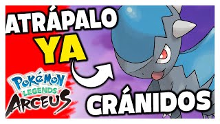 🔴 COMO Y DONDE CONSEGUIR A CRANIDOS POKEMON LEYENDAS ARCEUS [upl. by Amoakuh]