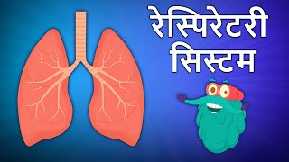 रेस्पिरेटरी सिस्टम  Respiratory System In Hindi  श्वसन तंत्र  DrBinocs Show  Binocs Ki Duniya [upl. by Phillip]