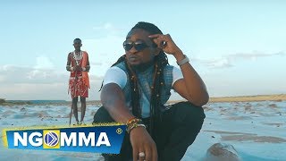 Proff  Wako Wapi Official Video [upl. by Michelsen]