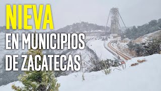 Cae la primera nevada del año en Sombrerete Zacatecas [upl. by Nifares]