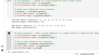 L1696 Squeezing Unsqueezing and Permuting Tensors [upl. by Eizdnil778]