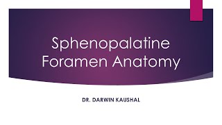 Sphenopalatine foramen anatomy [upl. by Eelam]