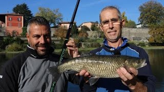 Trabucco TV  Pesca a bolognese sul fiume Oglio [upl. by Seditsira]