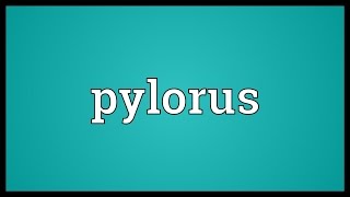 Pylorus Meaning [upl. by Batchelor979]