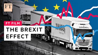 The Brexit effect how leaving the EU hit the UK  FT Film [upl. by Zerep746]