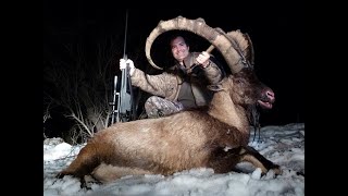 Bezoar Ibex Hunting in Turkey  Kemal Burak DURANERRecp Ecer [upl. by Notsud]