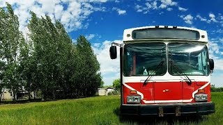 At home on transit Couple converting bus into living space [upl. by Antonius]