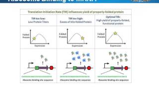 Expression vectors how to choose or customize vectors for gene amp protein expression [upl. by Arit49]