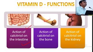 Vitamin D Sources biochemical functions amp deficiency manifestations  Vitamin D Biochemistry [upl. by Ansev835]