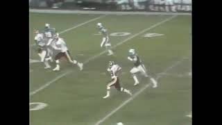 Super Bowl XVII  Miami Dolphins vs Washington Redskins January 30th 1983 Highlights [upl. by Lister]