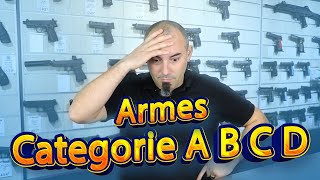 Armes Catégorie A B C D  Quest ce que cest  comment ça marche [upl. by Ariaek]