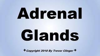 How To Pronounce Adrenal Glands [upl. by Durwood]