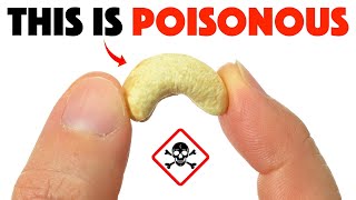 10 Common Foods That Can Actually Kill You [upl. by Lucier377]