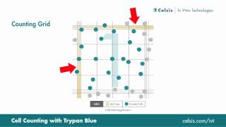 Cell Counting Using the Trypan Blue Exclusion Method [upl. by Ennaj]