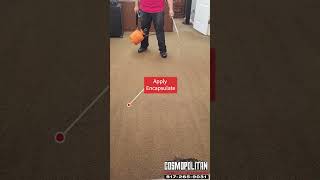 2 step commercial carpet cleaning [upl. by Odlareg]