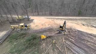 Clear Cut Logging [upl. by Petty]