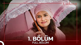 Çalıkuşu 1 Bölüm [upl. by Gilpin794]