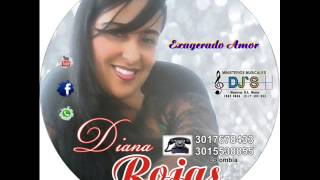 DIANA ROJAS EXAGERADO AMOR [upl. by Chuipek]