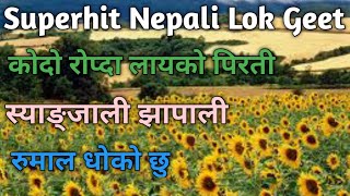 Superhit Nepali Lok Geet  Kodo Ropda Layeko Pirati  Syangjali Jhapali  Rumal Dhoko chhu [upl. by Harobed886]