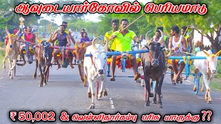 7பெரியமாடு ஆவுடையார்கோவில் பந்தயம் 01062024 [upl. by Miun978]