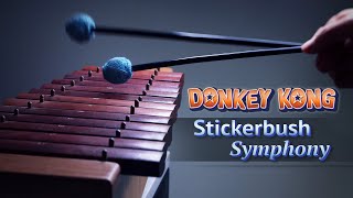 Donkey Kong  Stickerbrush Symphony 🎨 [upl. by Esidarap]