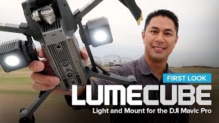 First Look  Lume Cube mounts on the DJI Mavic Pro [upl. by Damalas]