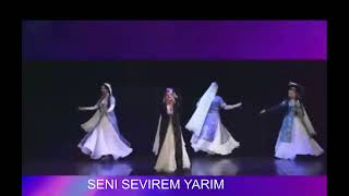 TABRIZ MIXSENI SEVREM YARIM 2023 [upl. by Henebry]