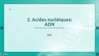 Composition des acides nucléiques [upl. by Notsahc360]