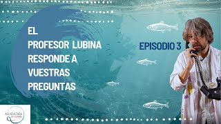 2x03  Consultorio del Profesor Lubina  Acuicultura de España [upl. by Reviere329]