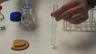 Lipid emulsion test IGCSE Biology [upl. by Herries327]