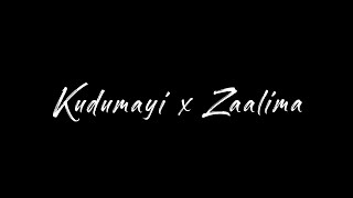 Kudmayi x Zaalima  Lyrics  Black Screen Song Lyrics [upl. by Epoh]