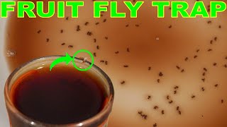 This Genius Trap Will Stop FRUIT FLIES In Your House Overnight [upl. by Goldsworthy262]