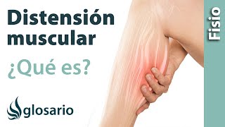 DISTENSIÓN MUSCULAR  Qué es qué afecta síntomas causas y tratamiento fisioterapéutico [upl. by Rednirah]