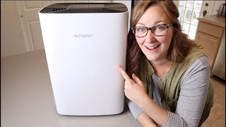 Dehumidifier Review  for Basement Wpsoert 80 Pints Dehumidifiers for Home Large Room [upl. by Alyakem]